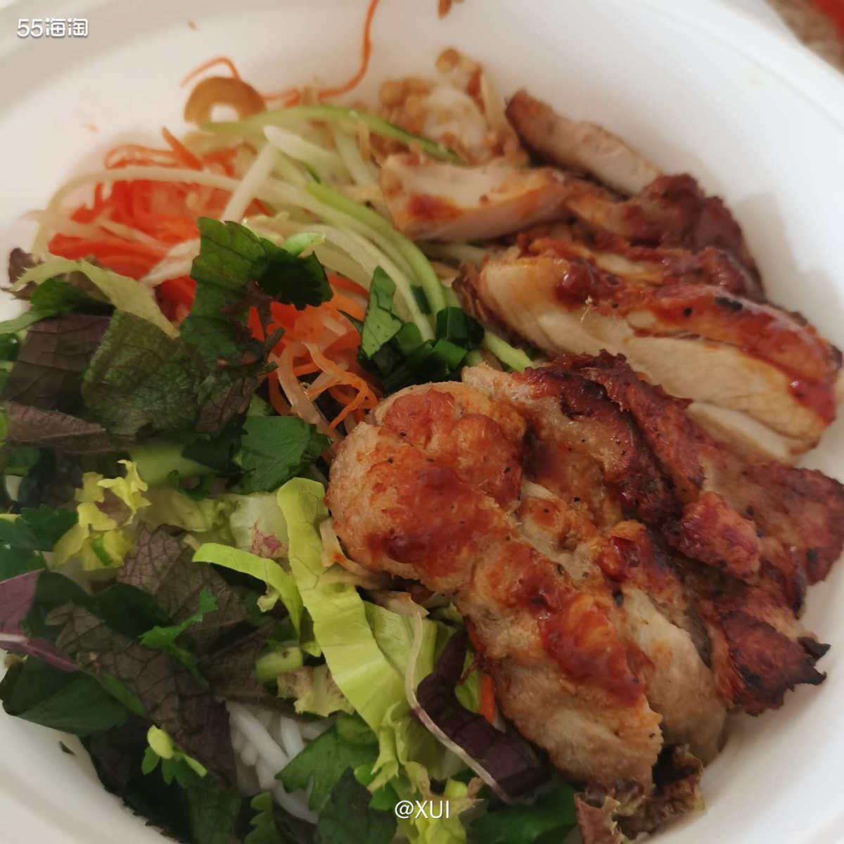 昨天吃过越南熟牛肉河粉之后，今天点外卖又去了越南菜店，这次点