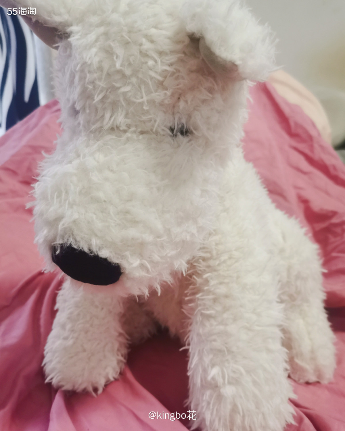 ⏺信我，Jellycat一定要买大号！每个女生都去给我买！ 