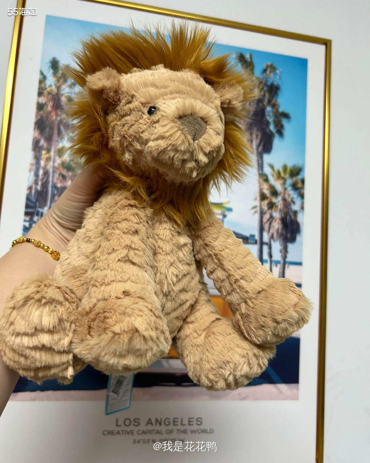 jellycat付款变成欧元，英镑，反正不是美金了,用户自建海淘攻略-55海淘社区