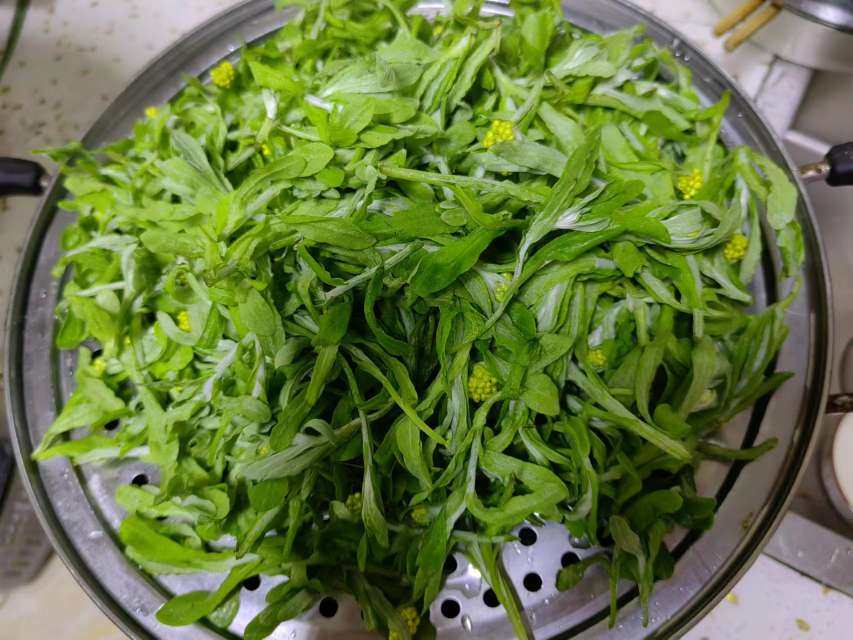 摘的是野菜，暖的是人心。一年一度的清明节快到了，清明草粑吃起