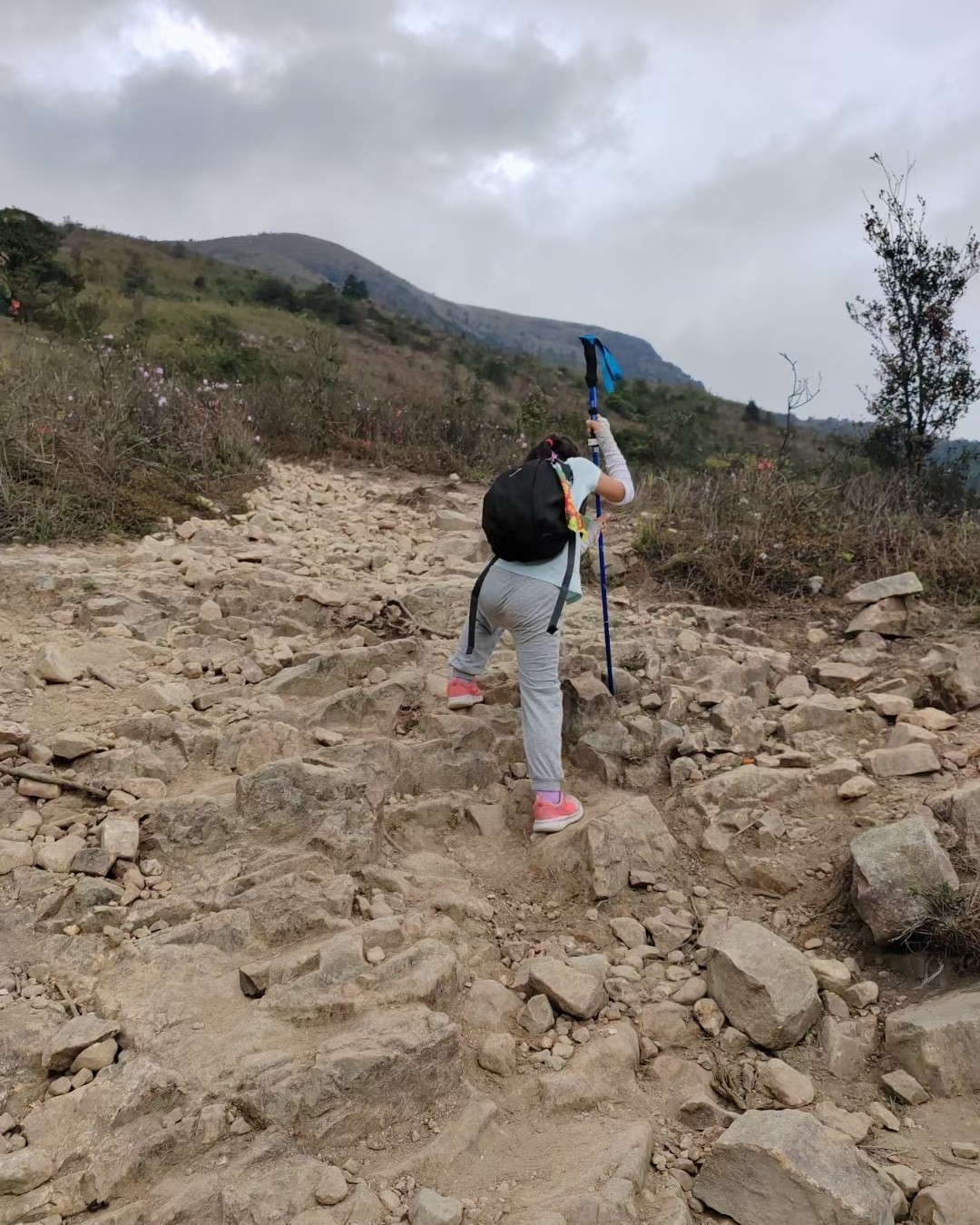 感谢机构的团建，团建没有选在周末，但是这山爬得也确实是很累呀