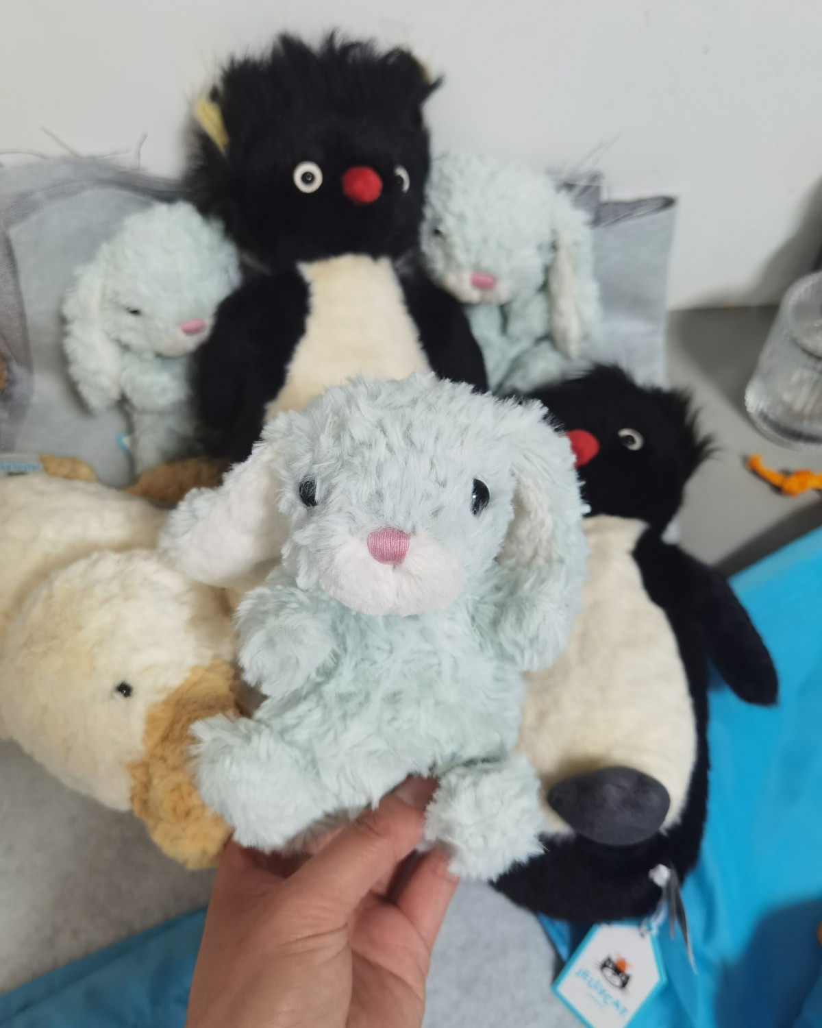 ✅下单网站：jellycat美国官网  ✅下单产品：炸毛企鹅