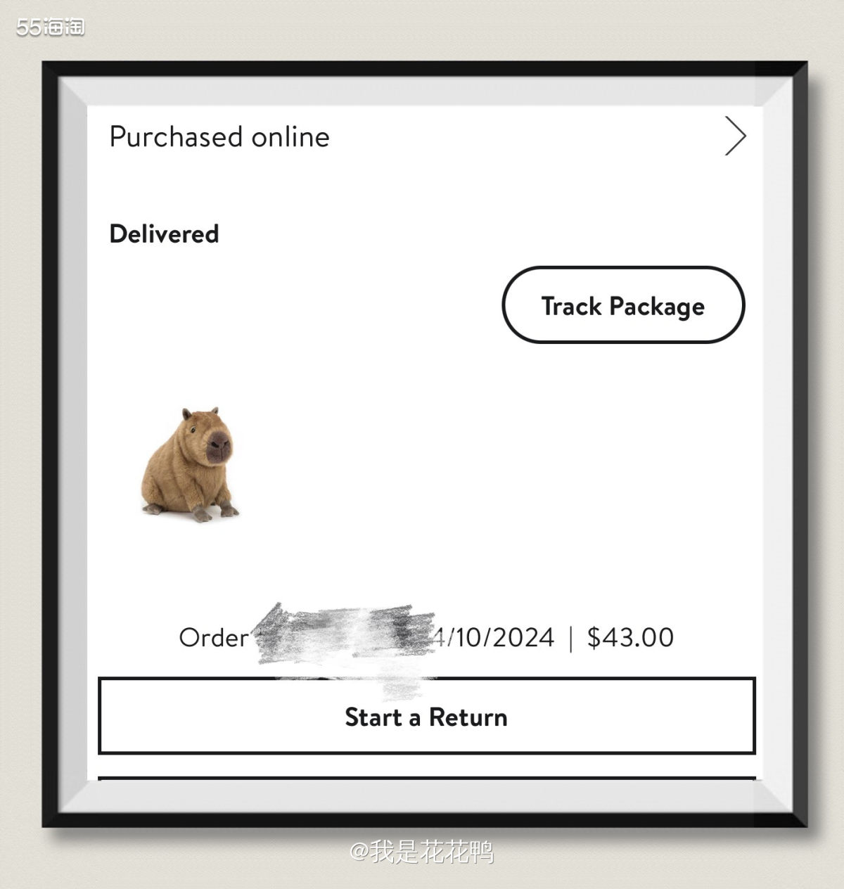 ✅购买网站: Nordstrom  ✅订单物品:Jellyc