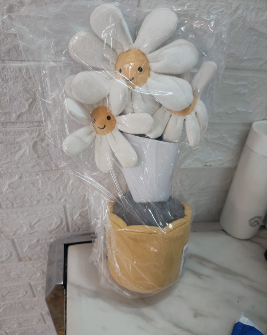 昨天收到了一箱jellycat，这箱都是好东西，抢到个jel