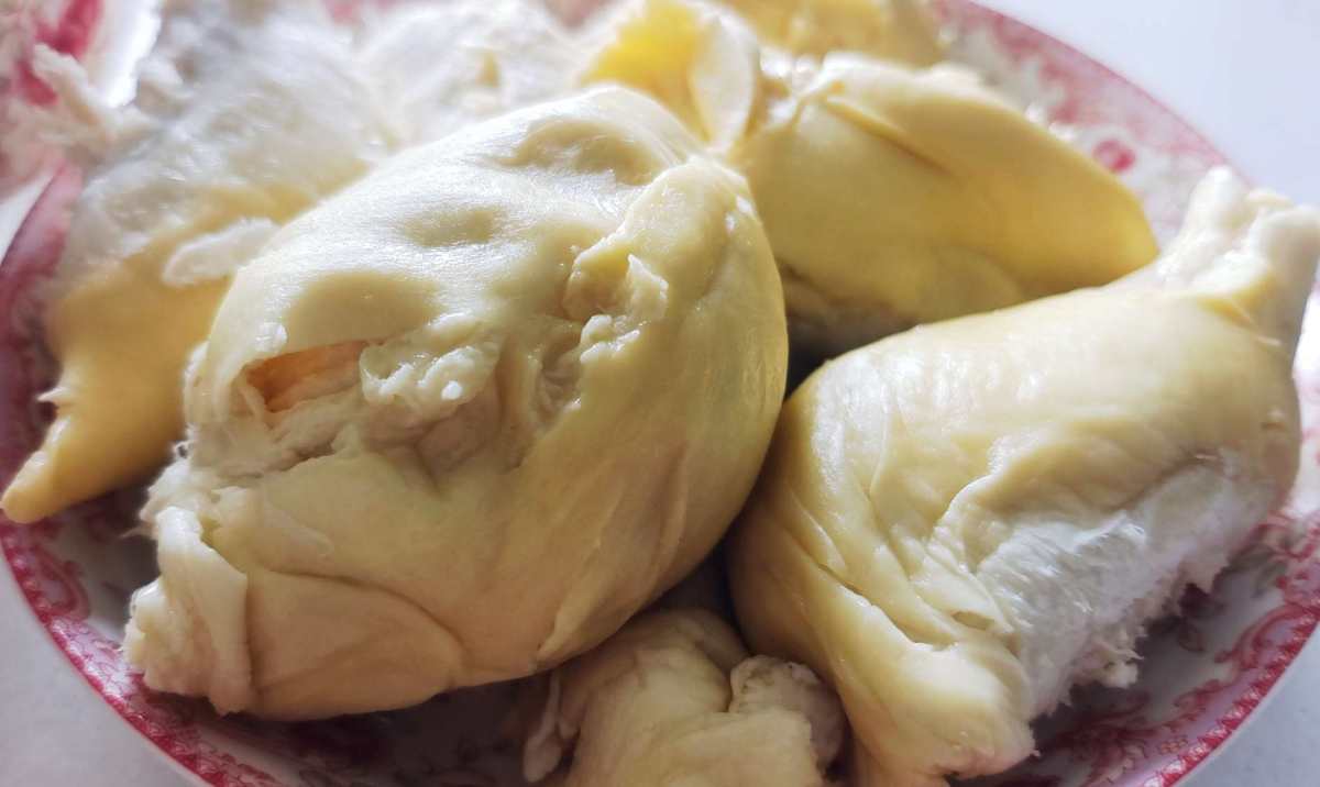 我真的巨会挑榴莲，今天去逛盒马，20多块钱一斤，超级划算，挑