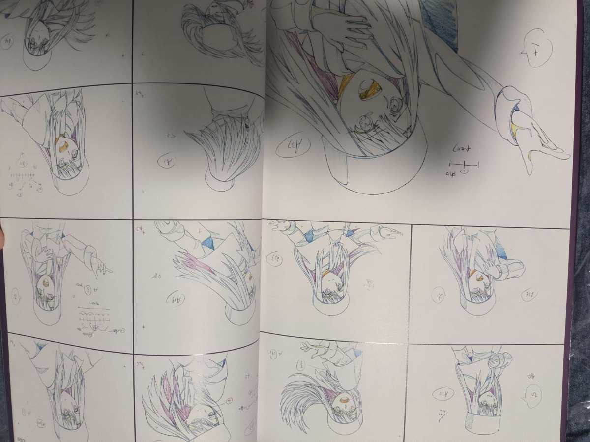 这次到的是fate stay night hf第一章的原画集