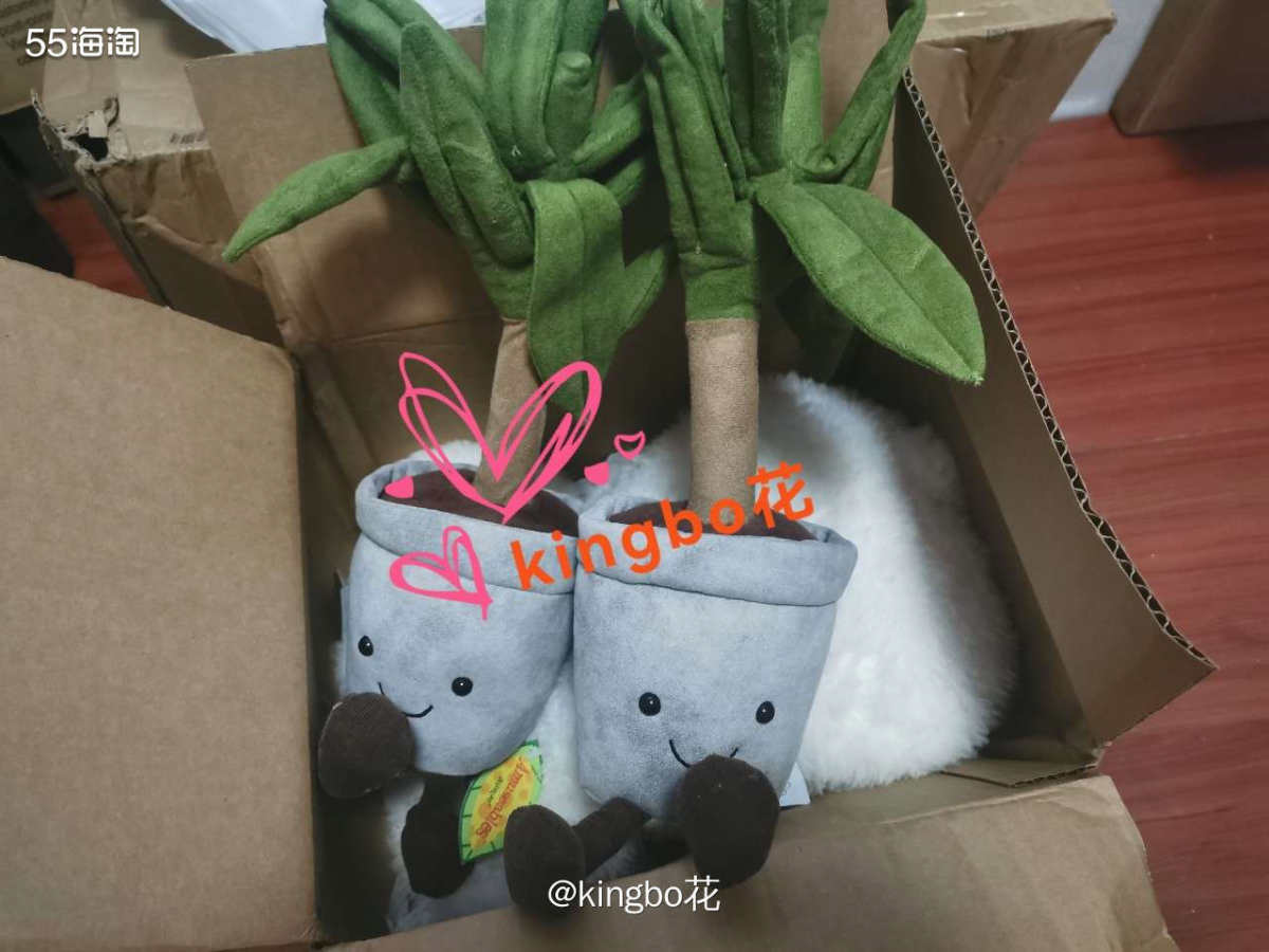 分箱的jellycat熊也收到了，这个发财树也很可爱  本来