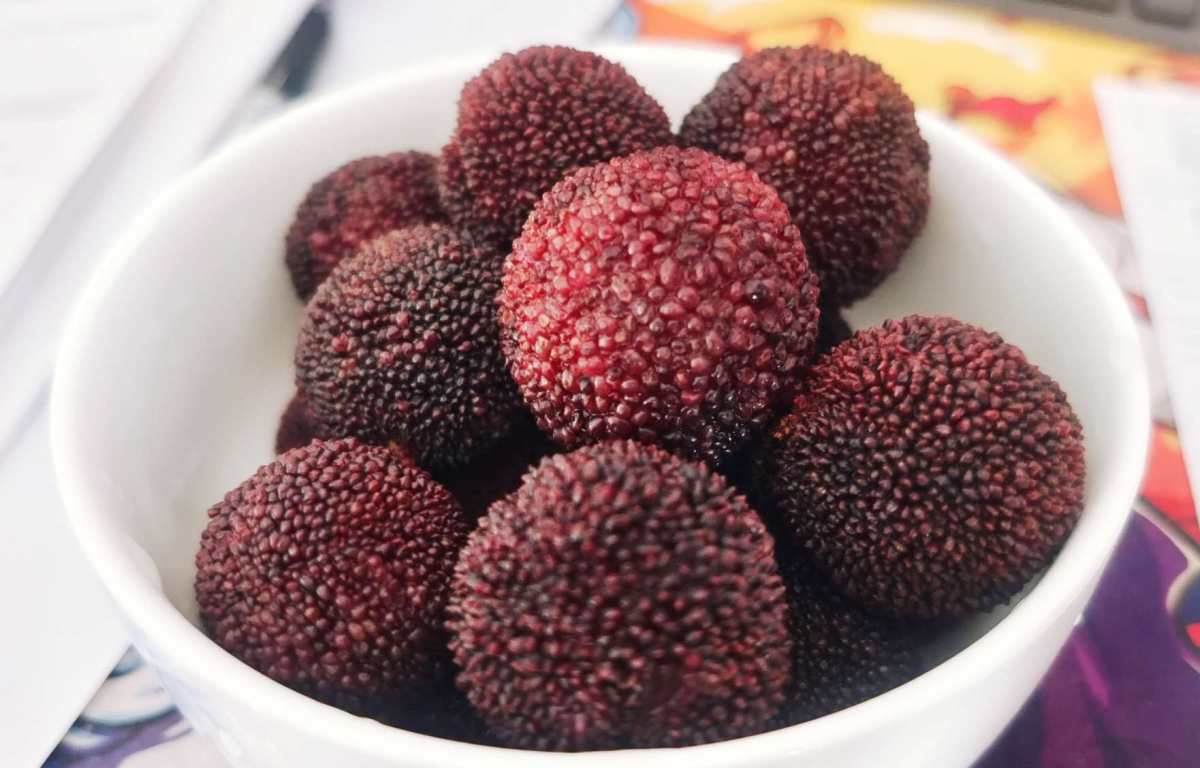 马上就要到梅雨季了，现在杨梅已经开始陆续上市，老妈出去溜达，