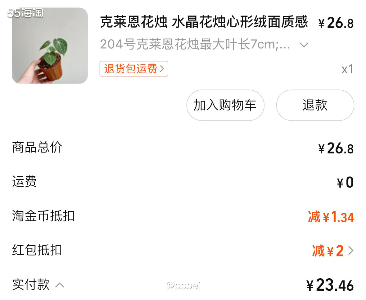 🌸克莱恩花烛 🌸名字感觉很好听～买的是小苗7cm的，用了