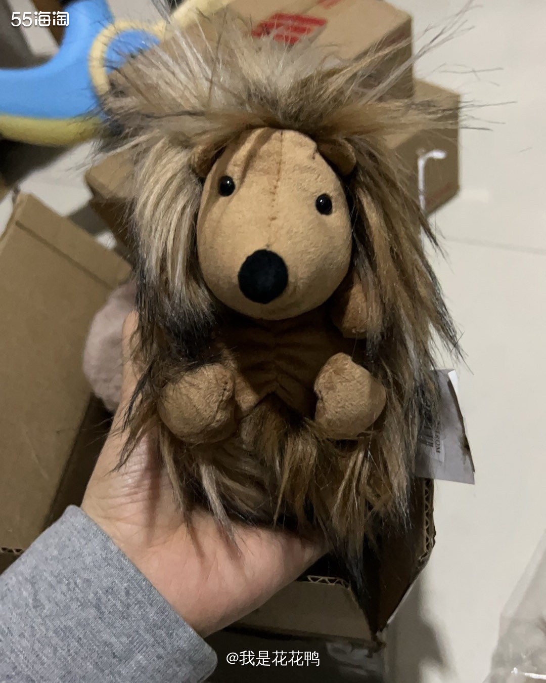 ✅购买网站:Nordstrom   ✅购买产品:jellyc