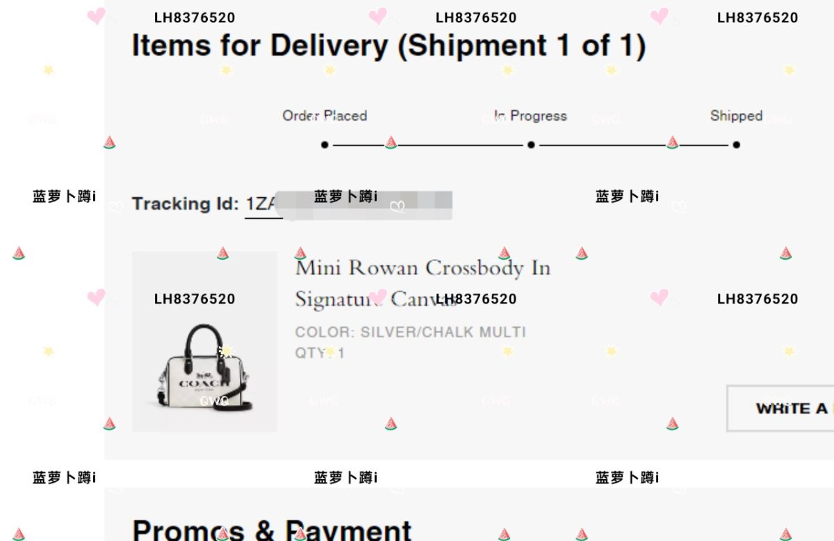 🌻购买商品:coach rowan迷你冰川白波士顿 🌻购