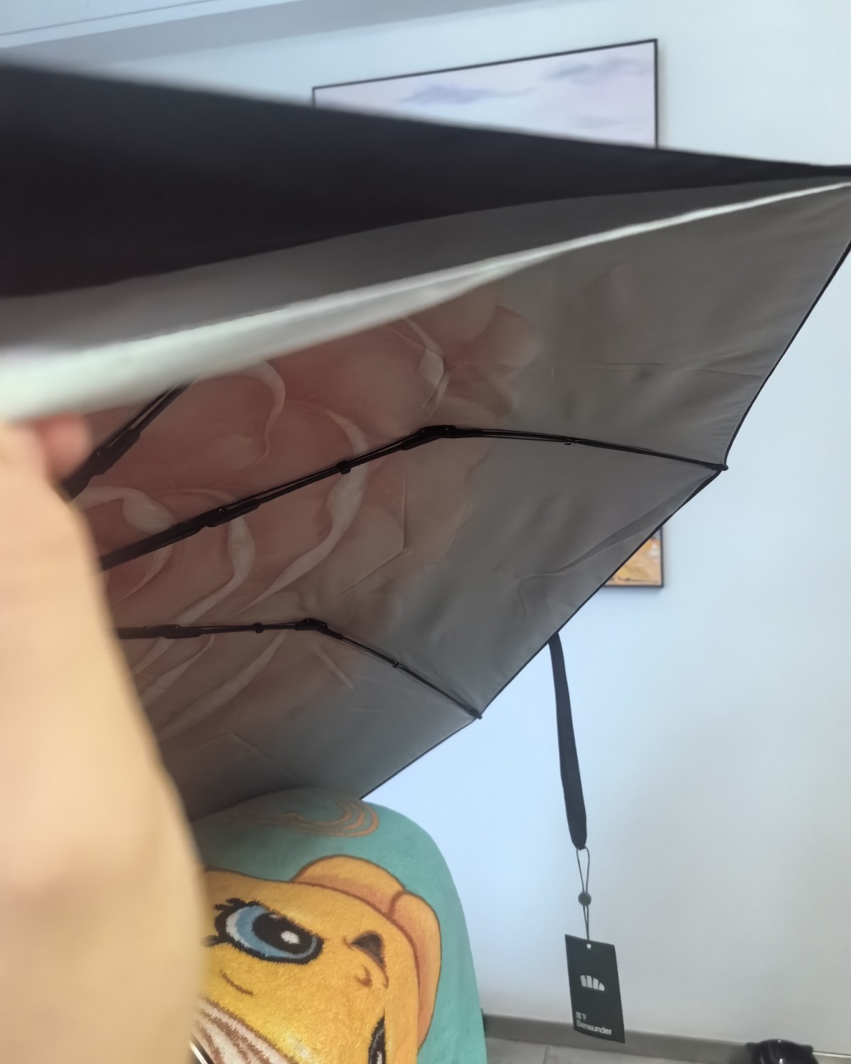 之前的买的蕉下双层晴雨两用，不知道在什么时候丢了。 应该是5