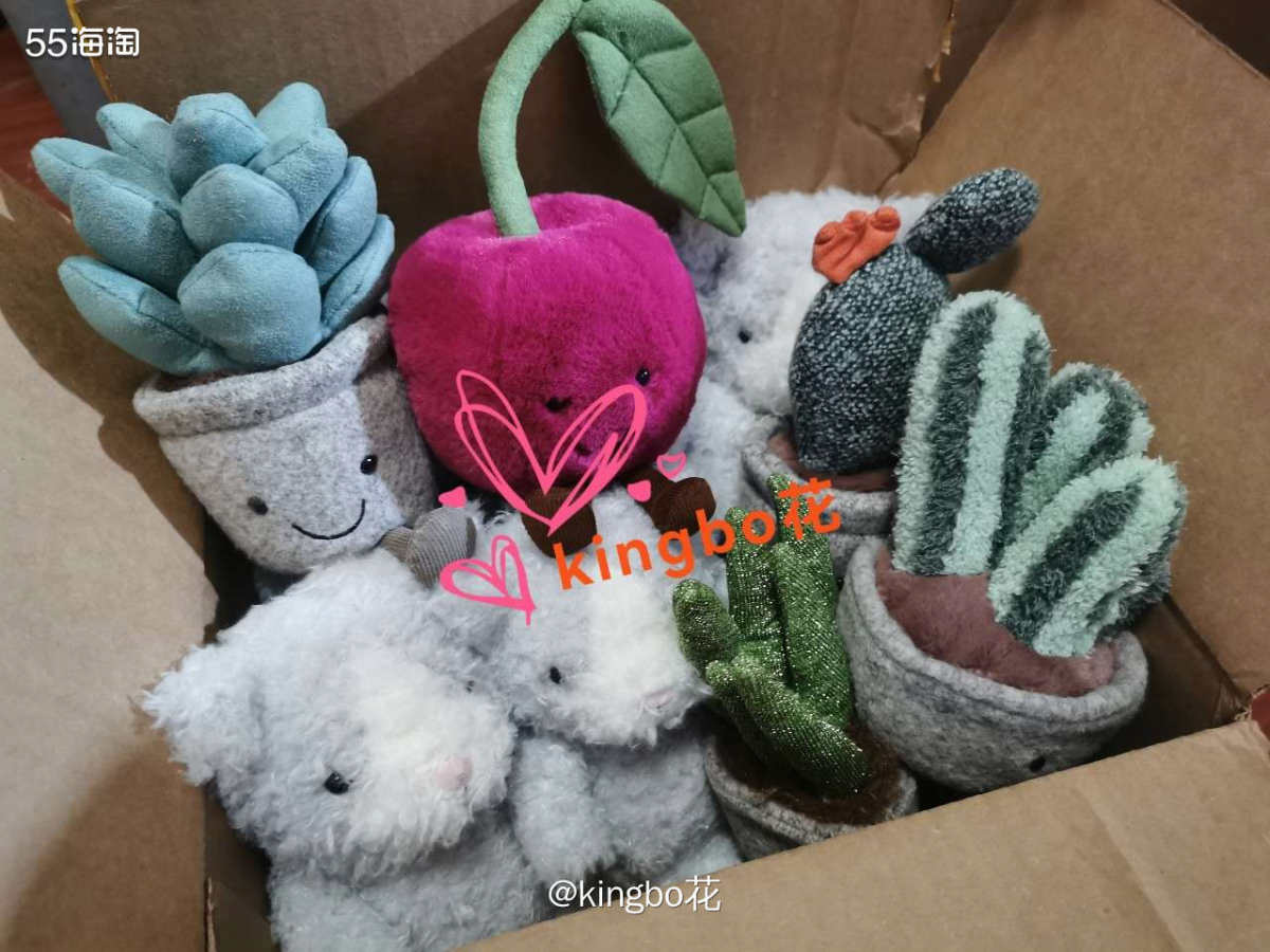 开箱jellycat一些仙人掌多肉小盆栽，植物系列每一款都喜