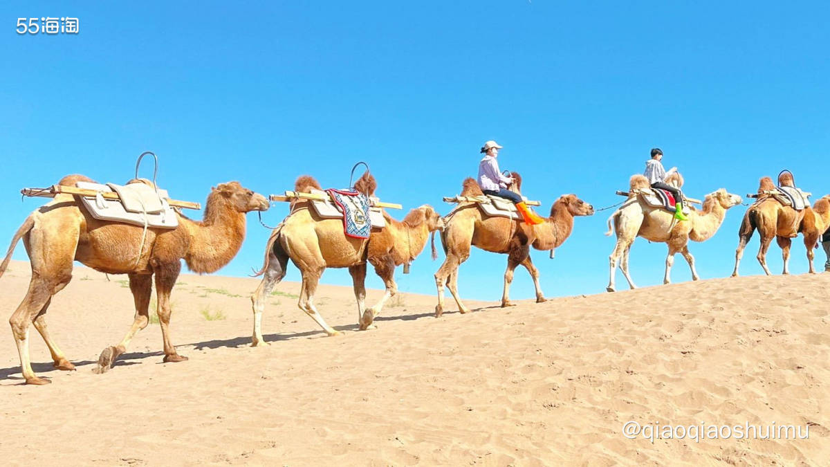 昨天去沙漠回来，累得不想动，就在住的地方附近吃了点饭。这里当