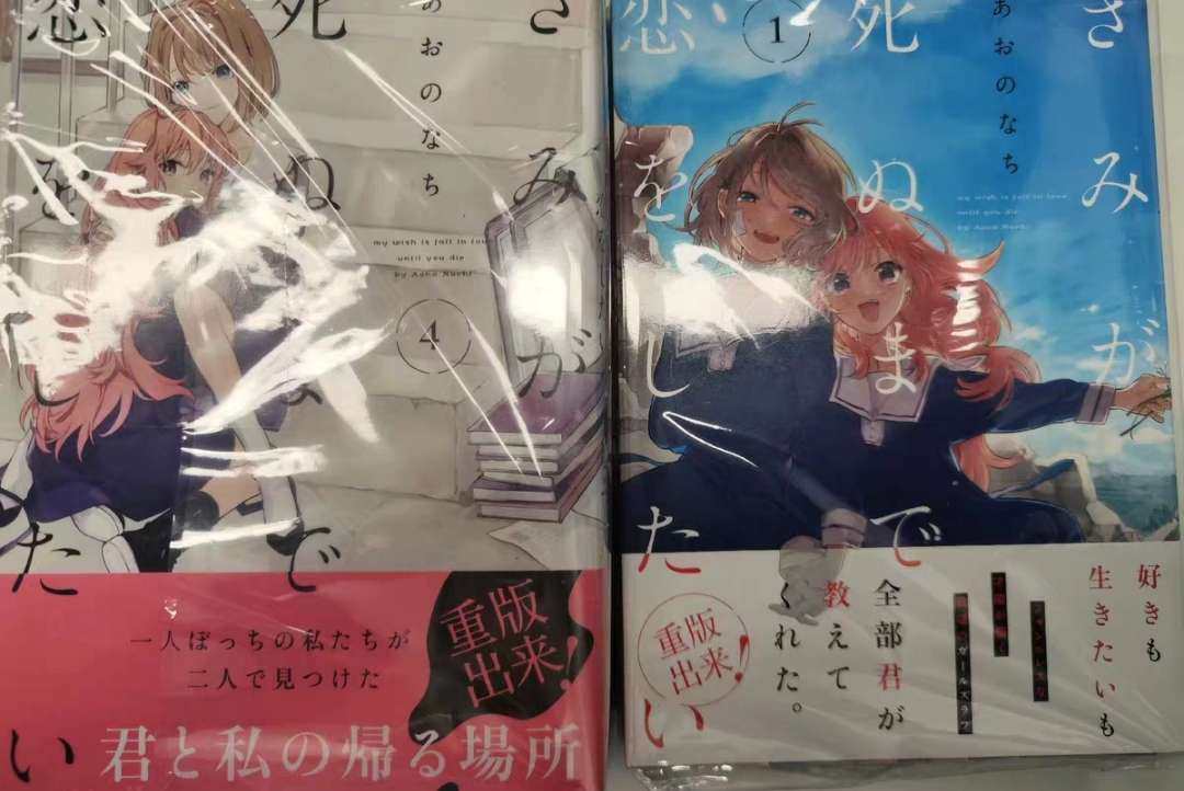 在煤炉买了一套きみが死ぬまで恋をしたい 全卷全新、到货后没有