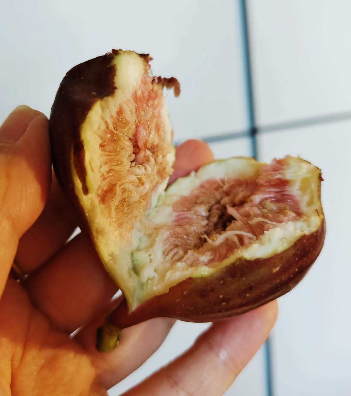最近很想吃无花果，买了一箱。品质非常不错。现在的无花果真的很