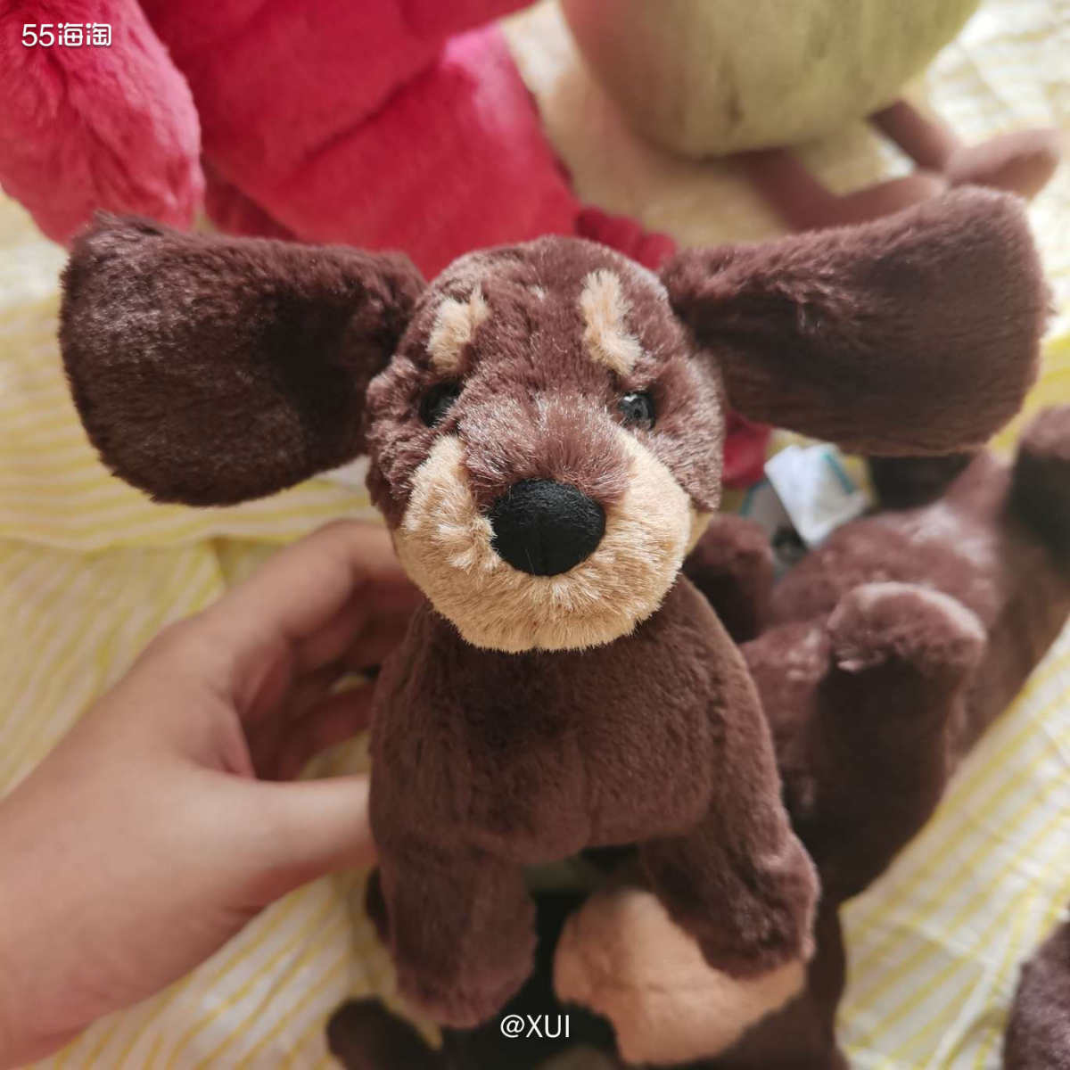 因为中间jellycat官网改版，下单过去集美老是砍单🤣所