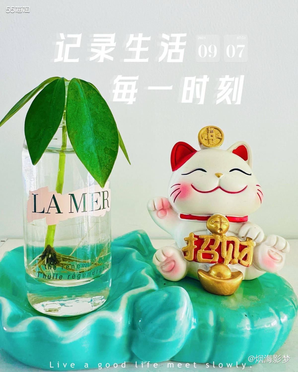 叮咚🔔早上好呀～周末愉快！  今天继续晒我的小绿植🥰水培