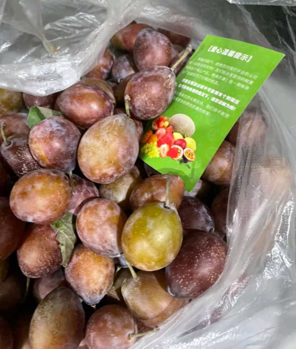 ☘️下单网站☘️      京东超市 ☘️下单商品☘️ 新疆