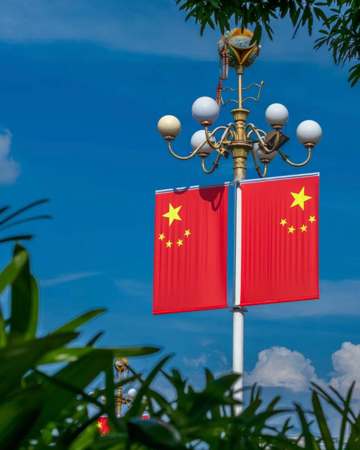 ❇️今年的国庆，虽然只有7天，但是网上已经看到小伙伴已经开始