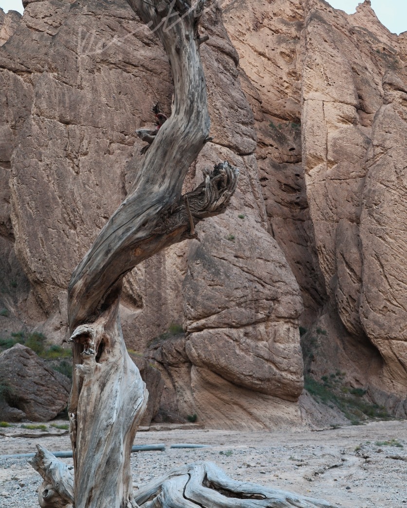 自驾游的好处就是突发奇想，本来应该去兰州住一晚，又想到黄河石