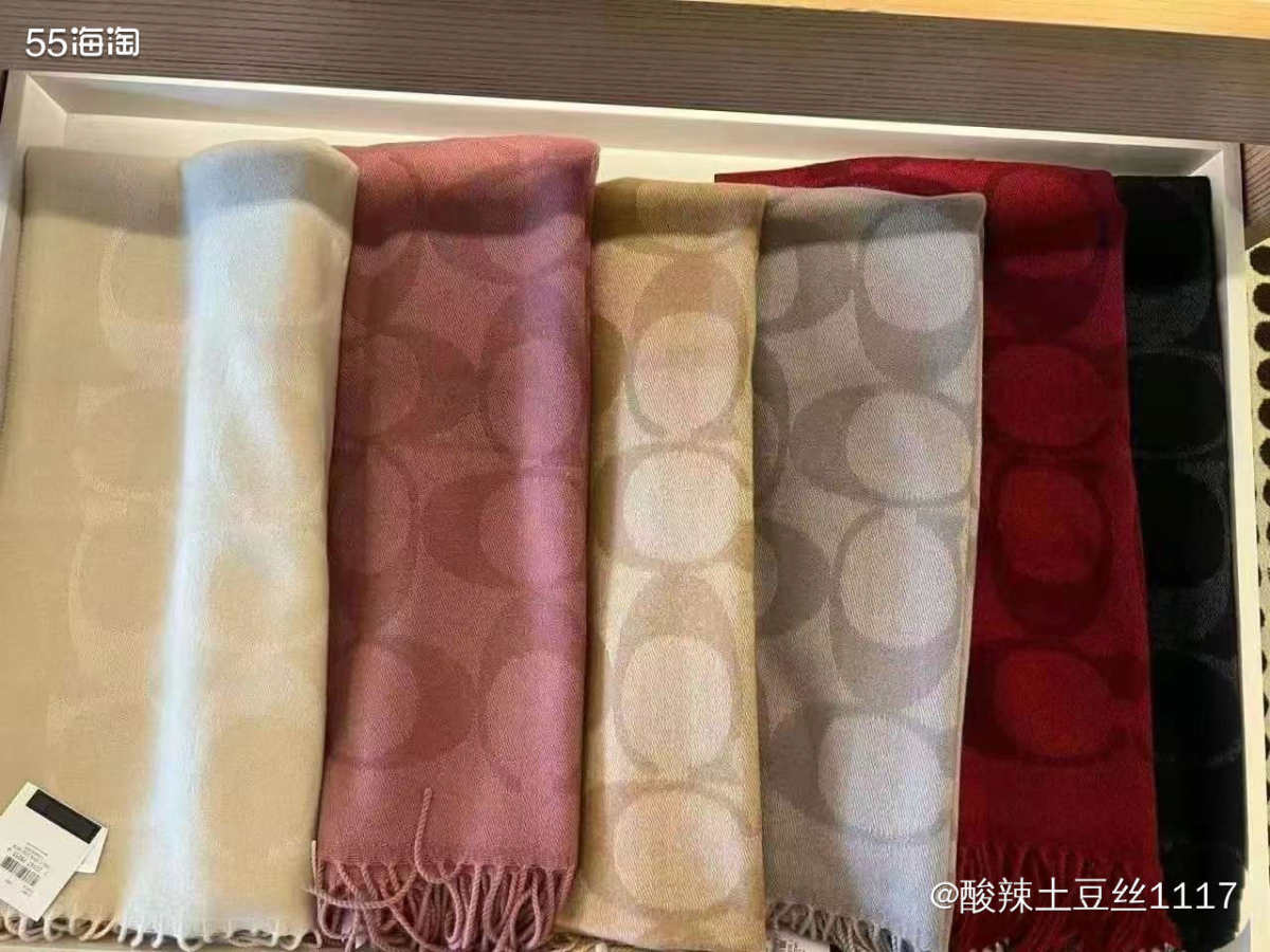 剁手网站:coach奥莱 前天买啦奥莱的围巾，相信大家也都在