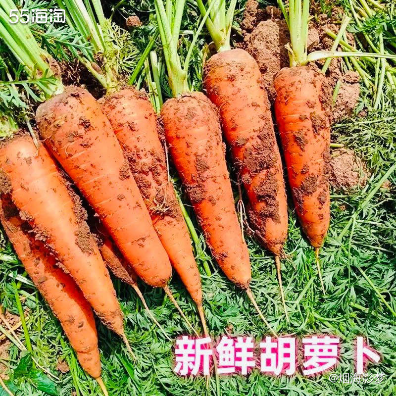 一分钱兑换的胡萝卜收到啦，果型饱满，分量足够，而且还是还是带