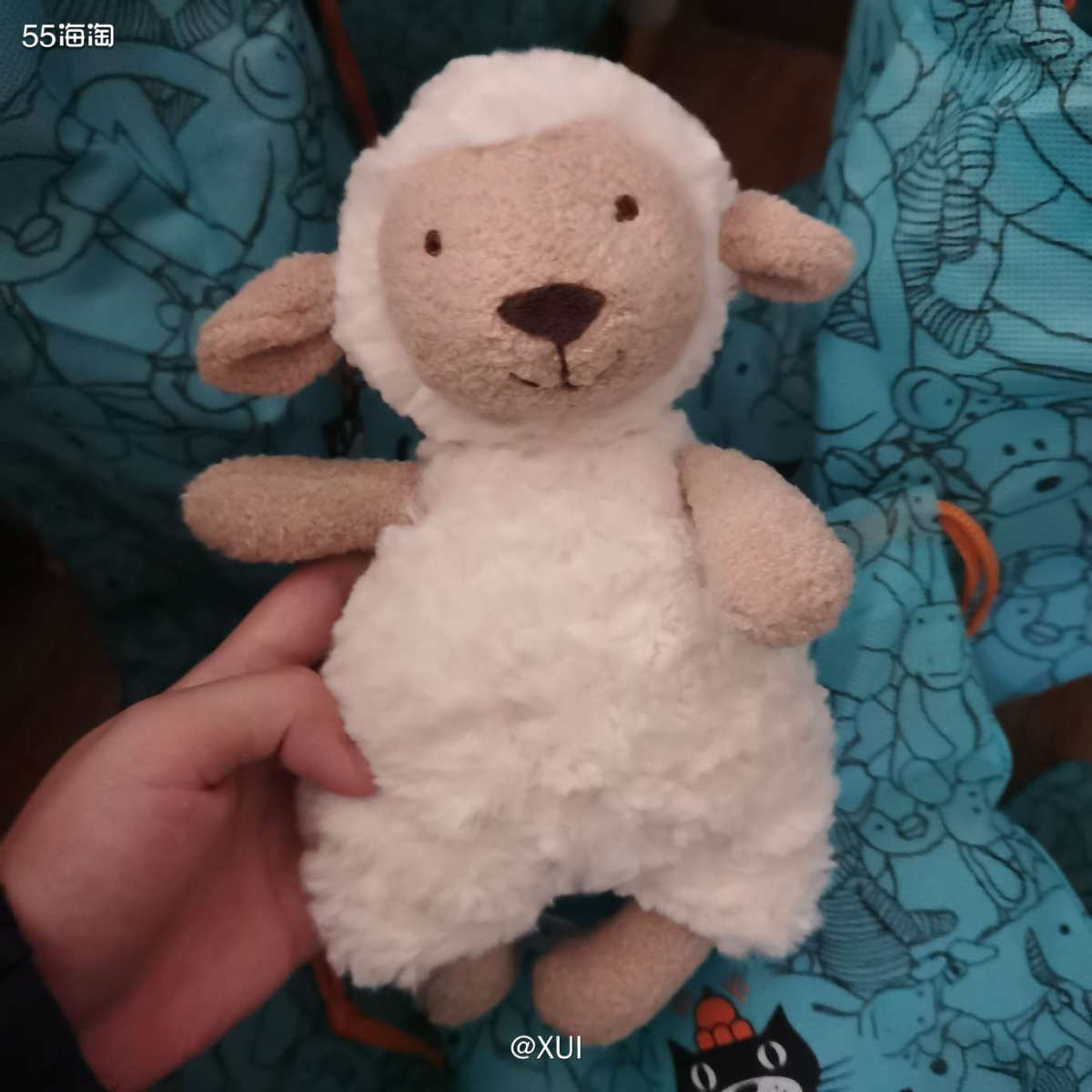 之前在jellycat官网胡乱买的一堆玩偶没想到发货了，东西