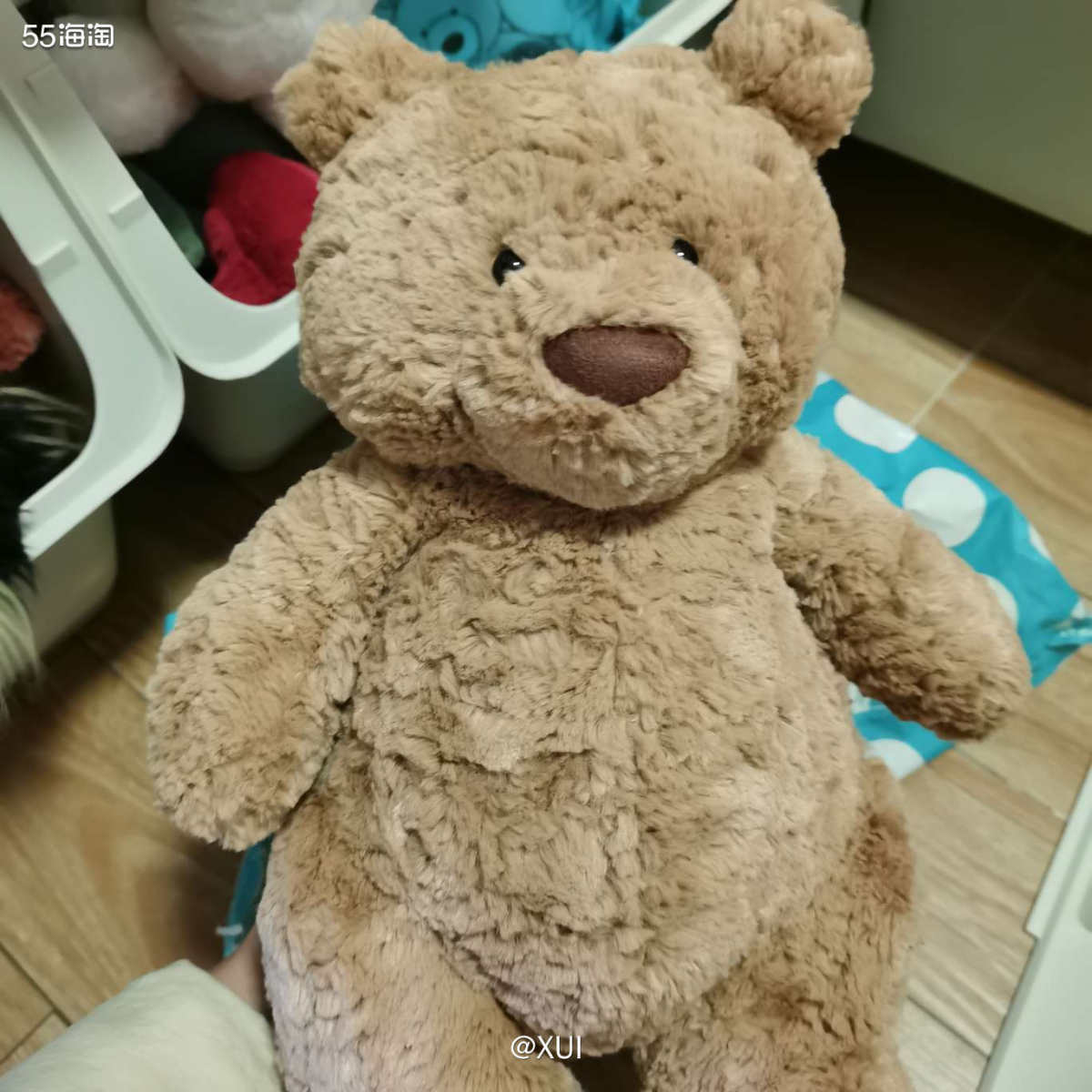 之前在jellycat官网胡乱买的一堆玩偶没想到发货了，东西