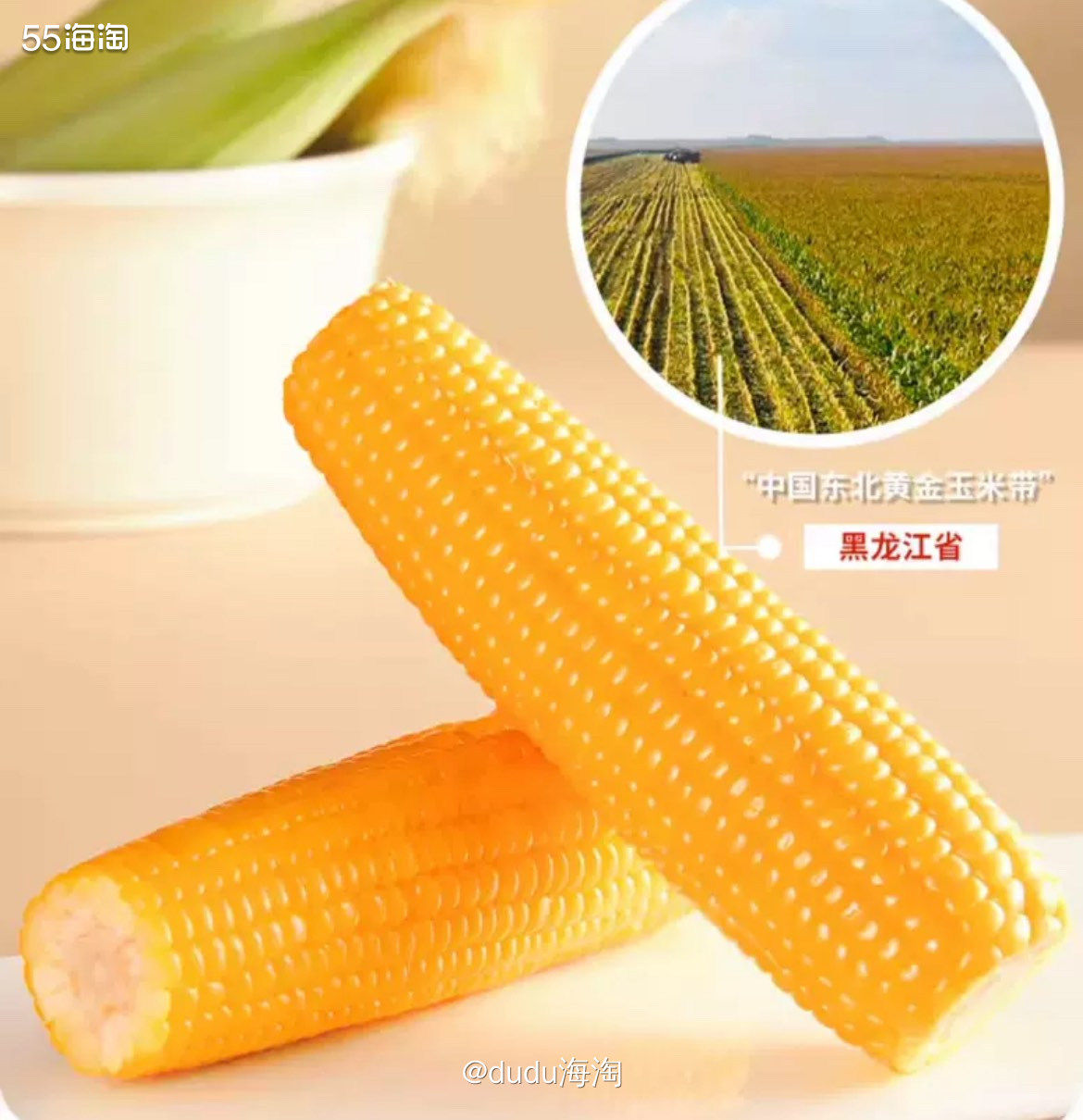 🌿又来买玉米啦！我家每天早上都会煮玉米，我也超级爱吃！现在