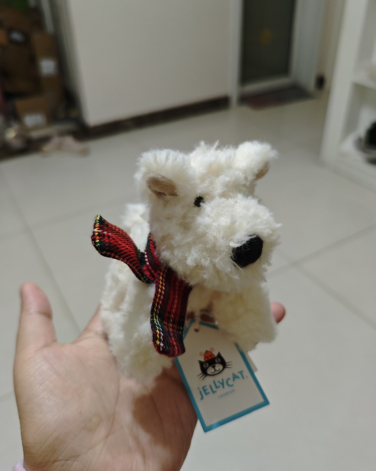 ND号刚开始用的时候我就下了一些jellycat，这几个是一