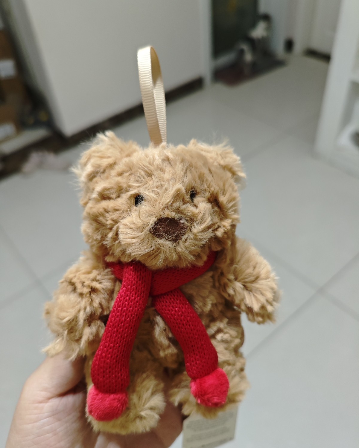 ND号刚开始用的时候我就下了一些jellycat，这几个是一