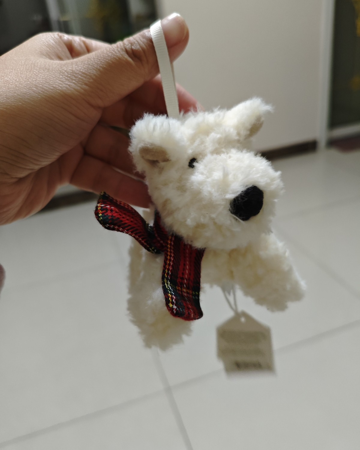 ND号刚开始用的时候我就下了一些jellycat，这几个是一