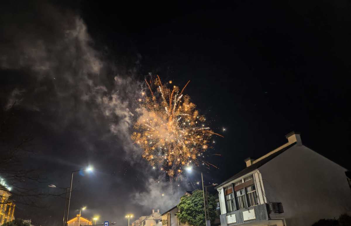 🍑先来祝大家新年快乐呀！我觉得新年最开心的事就是能放烟 花
