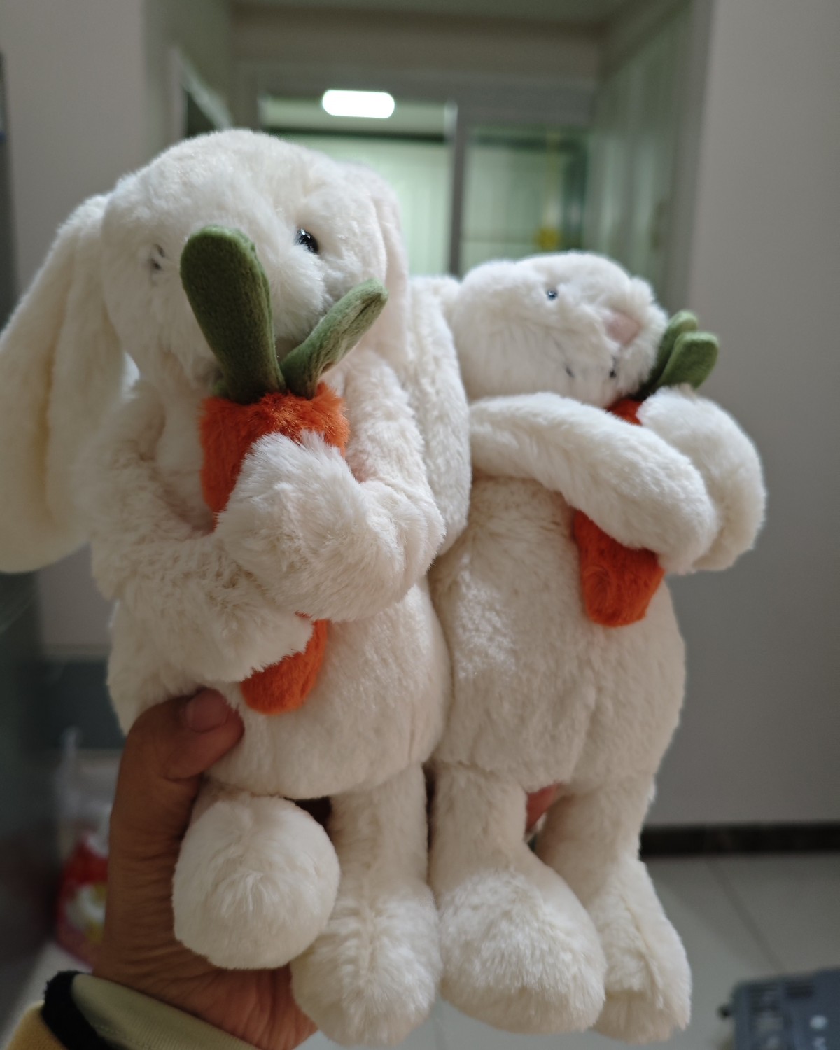 其实这一箱前些天就收到了，但是是寄到我弟弟那边的，他今天才给