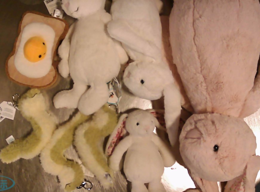 开箱的这个兔子好大一个，哈哈，实物我好喜欢 那天我直接把箱子