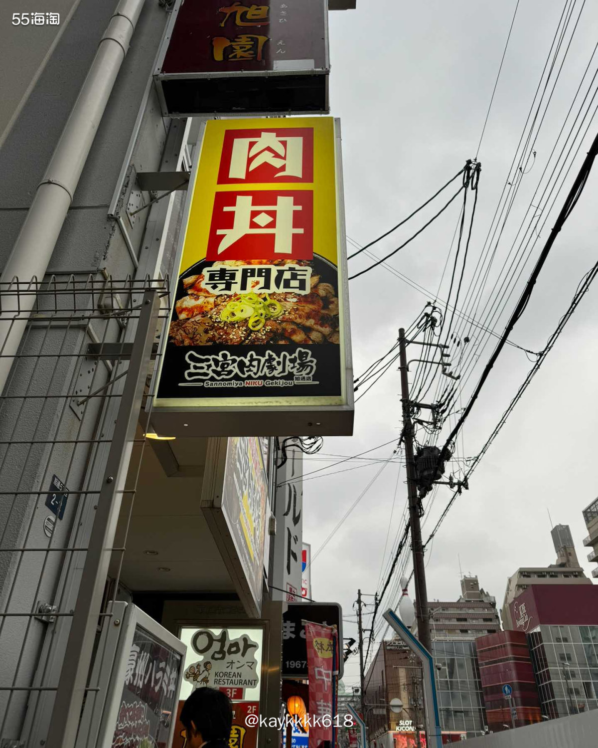 最后一天去完西舞子和兵库大佛之后准备去兵库美术馆的。阴天开始
