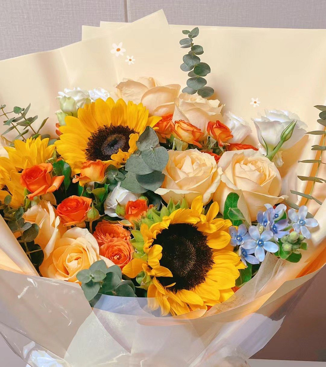 🔸入手渠道：实体店 🔸入手价格：20-100不等  🌺