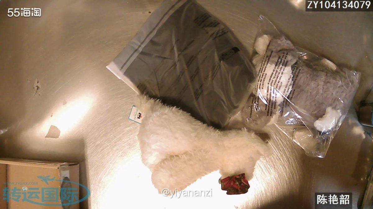 购买网站： jelly cat—pibabymodern两个