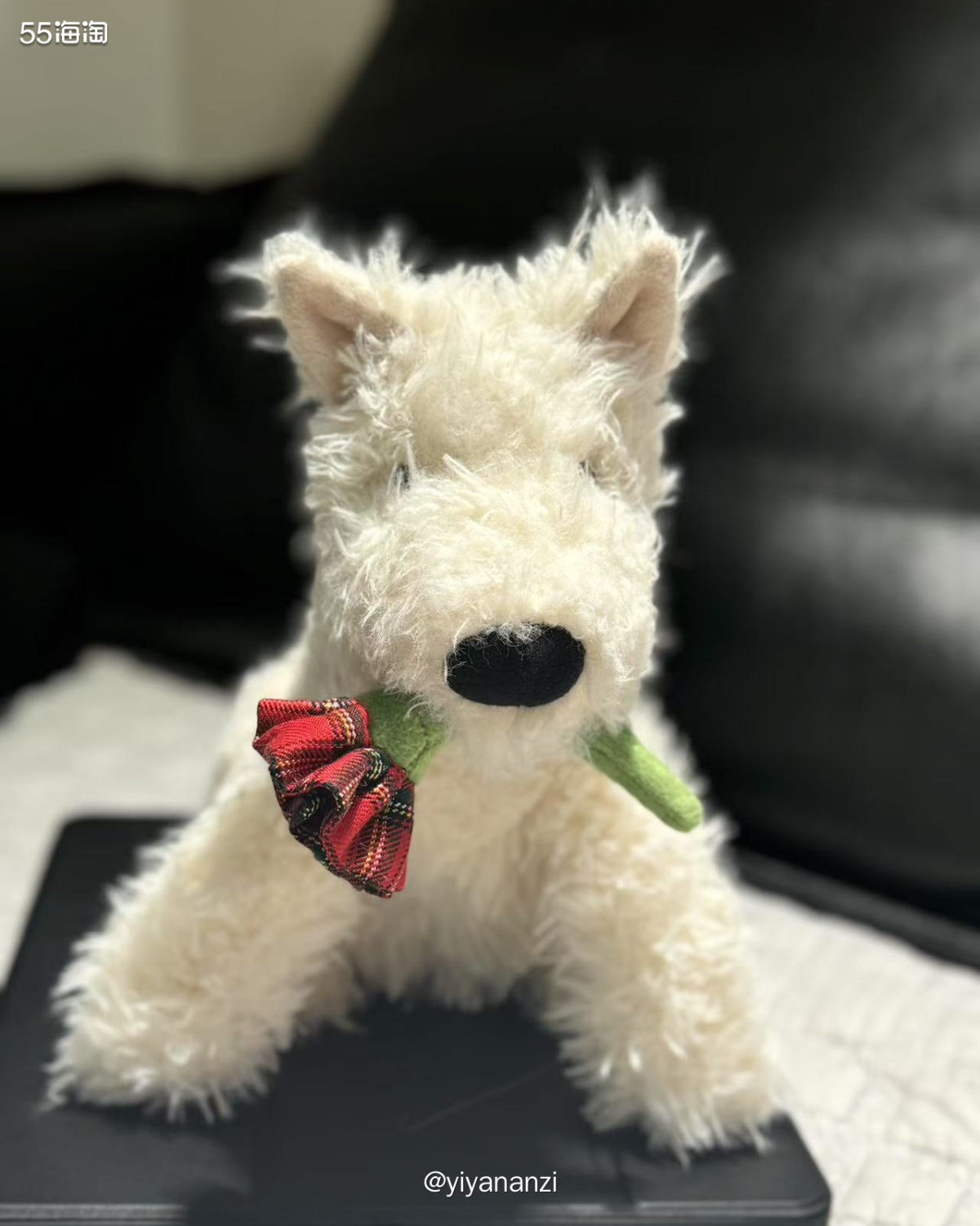 购买网站： jelly cat—pibabymodern两个