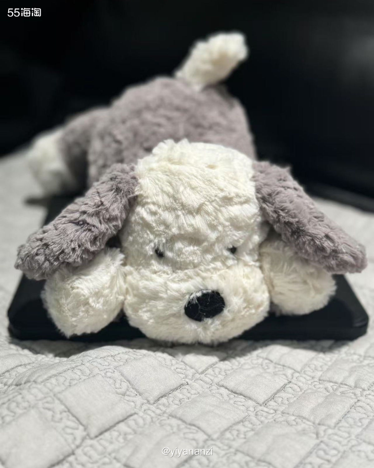 购买网站： jelly cat—pibabymodern两个