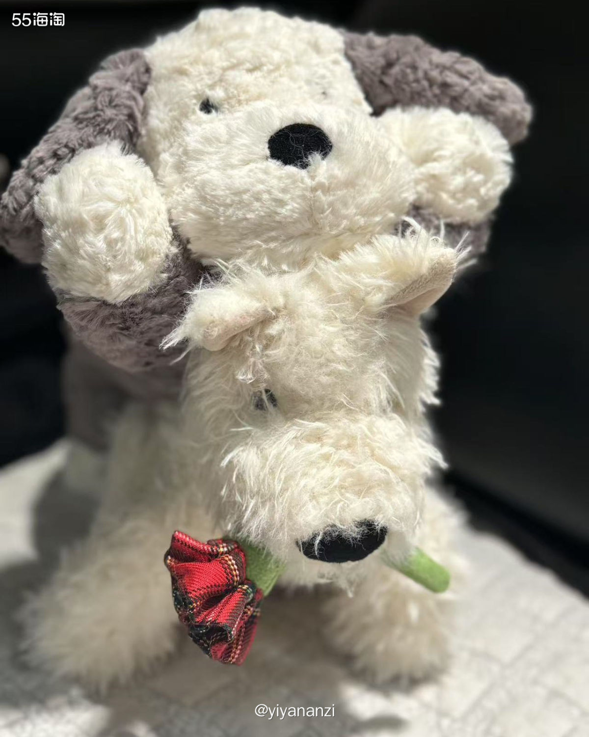 购买网站： jelly cat—pibabymodern两个