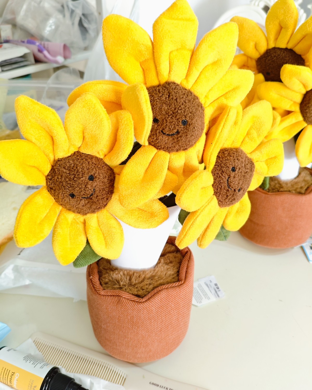 最近jellycat也是出来一点了，终于转国把我的太阳花清出