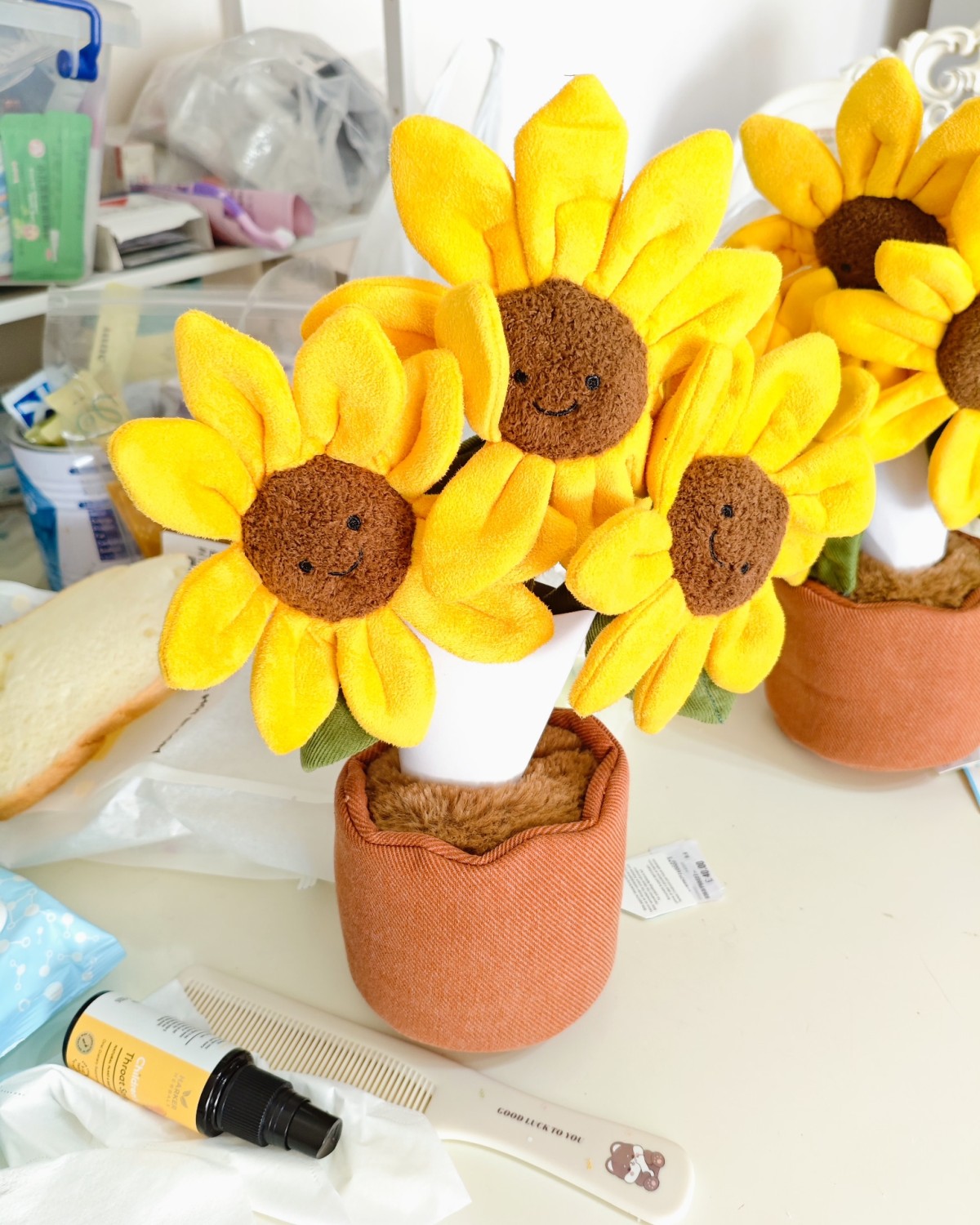 最近jellycat也是出来一点了，终于转国把我的太阳花清出