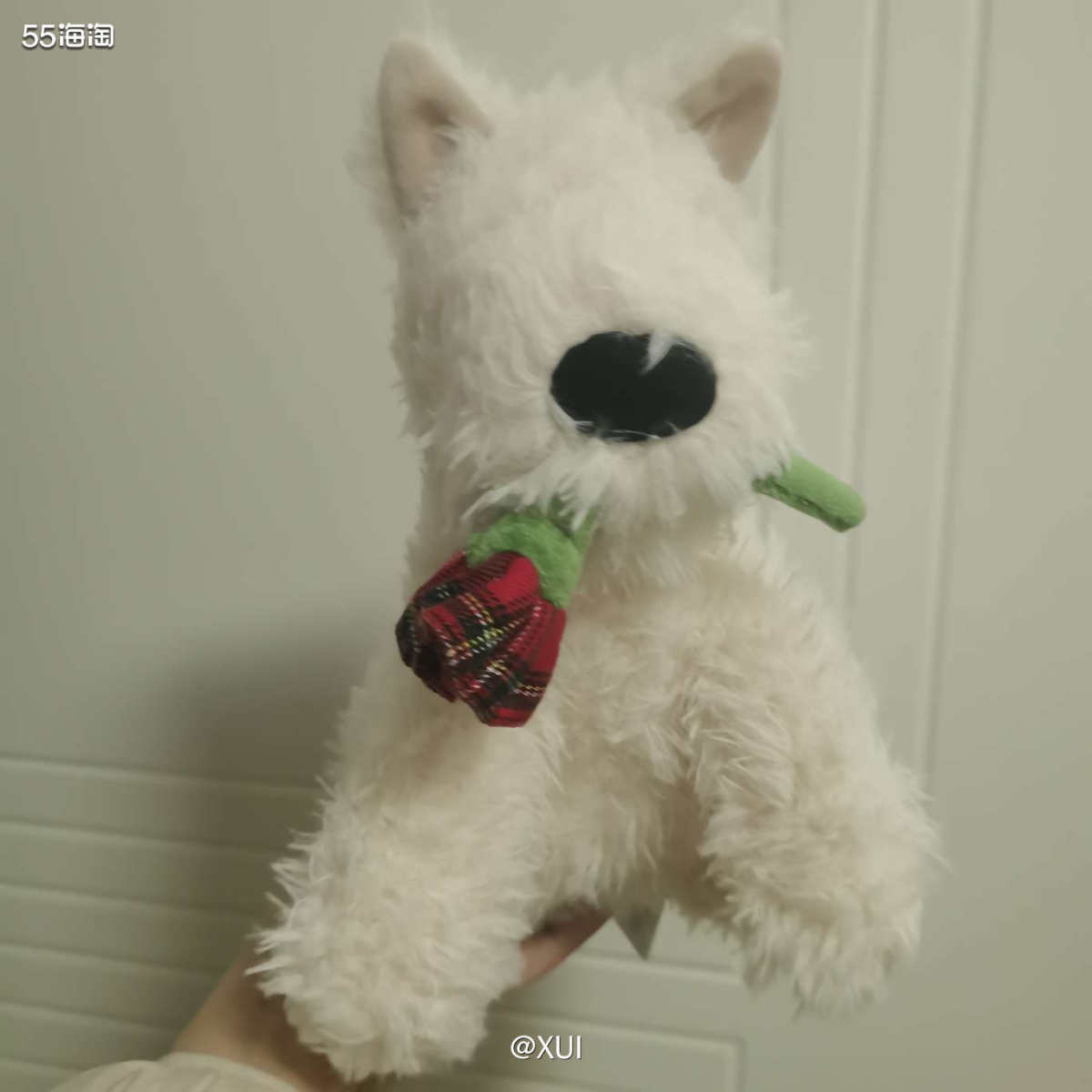 这个包裹里面有在jellycat官网买的little猫、橡果