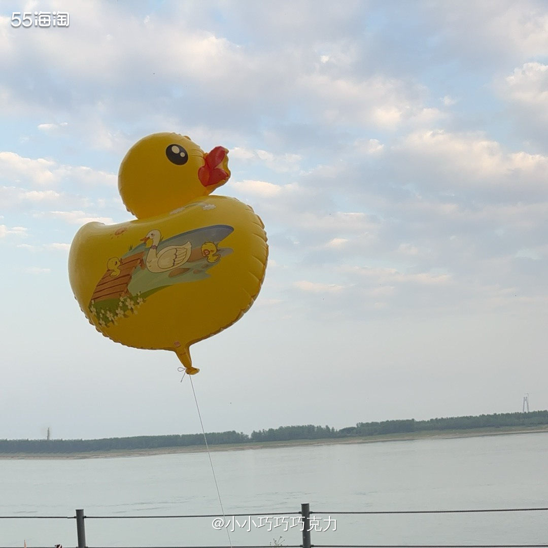 今天又恢复到跳操训练啦，上午我一般起床都很晚乐，所以跳操安排