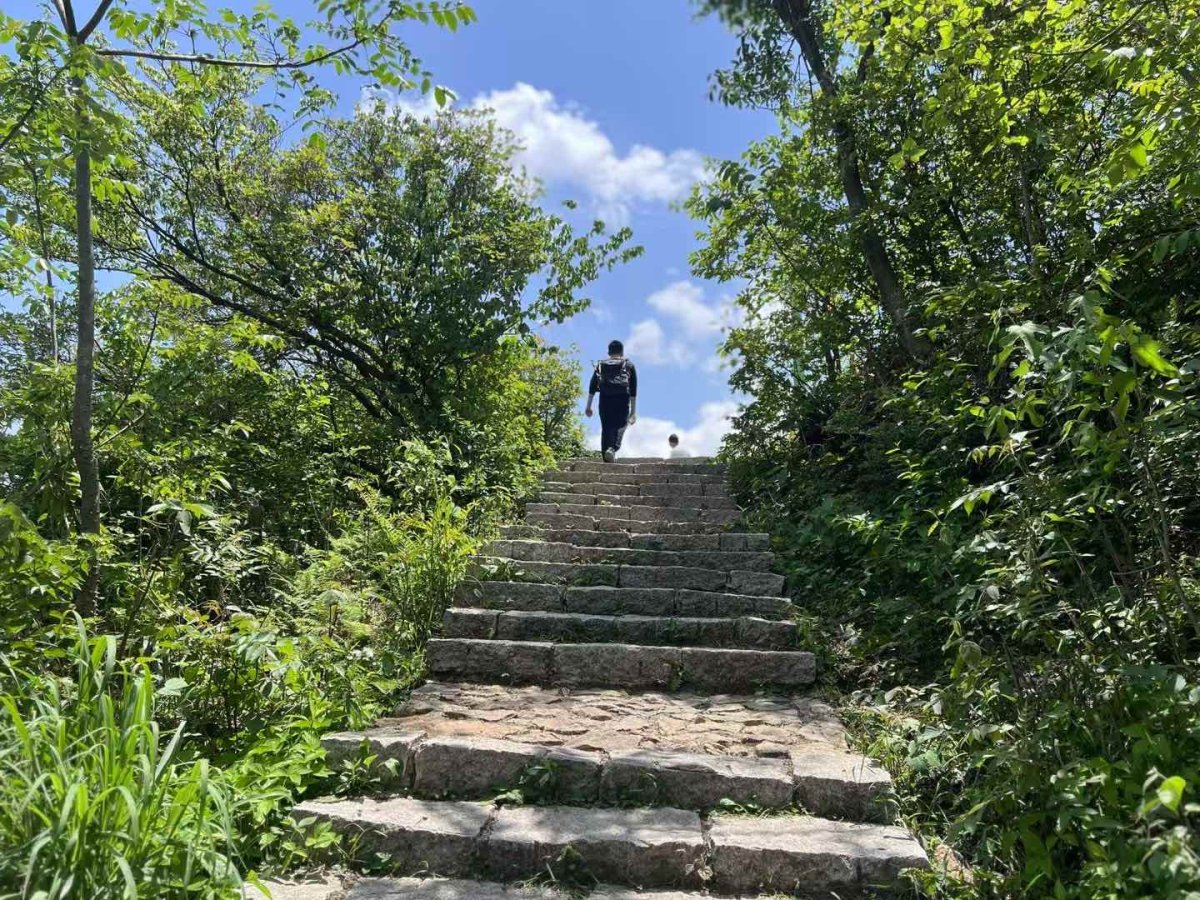 🧗‍♀️五一别去景区看人海了，一起去爬山吧。我找了个冷门小