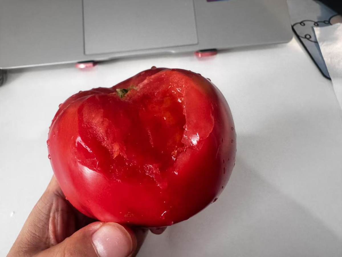 夏天又来了，离穿裙子的日子越来越近。 紧迫感越来越强。 衣柜