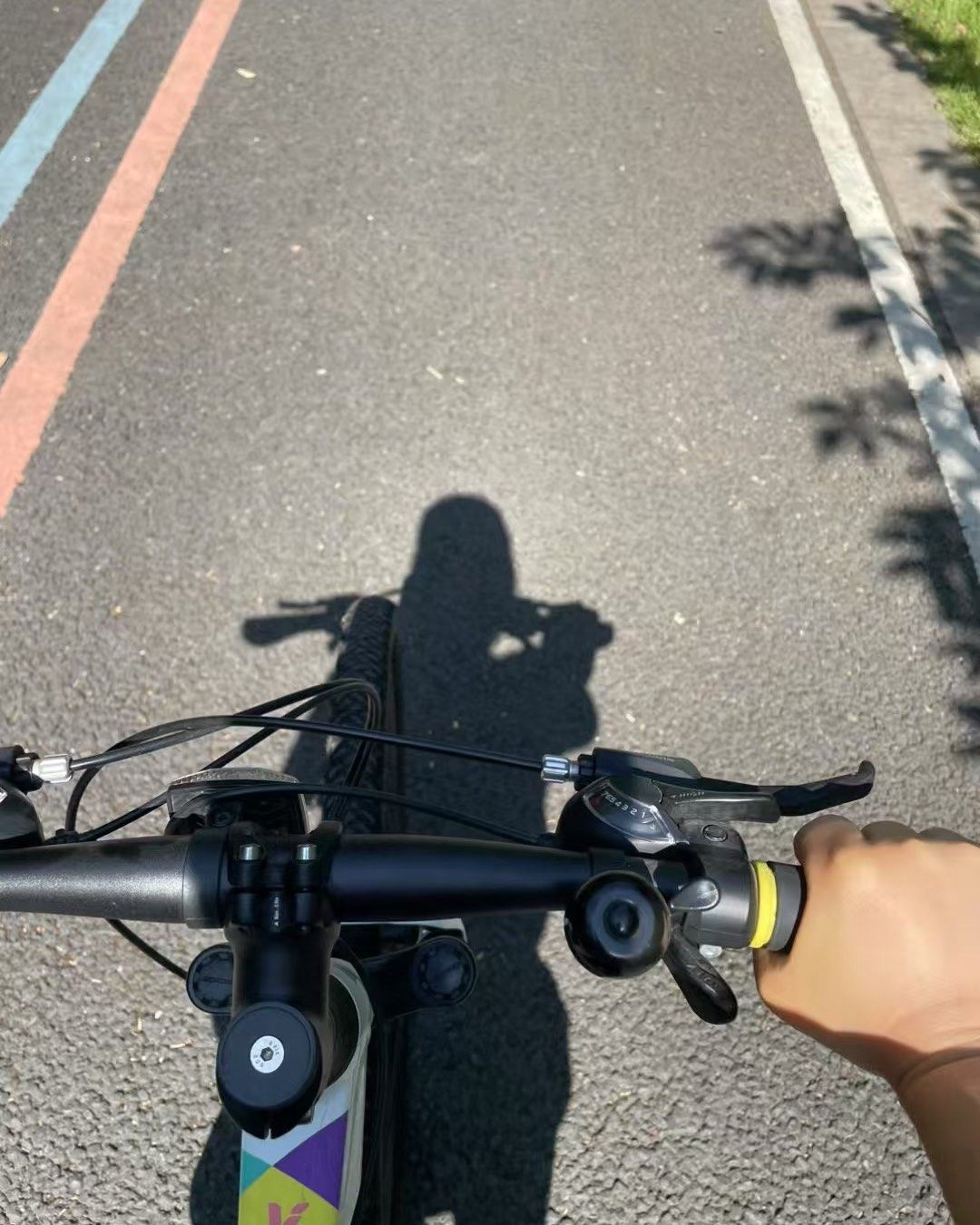 🚴‍♀️今天早上，天气晴好，想想许久没拉练的自行车，要么就