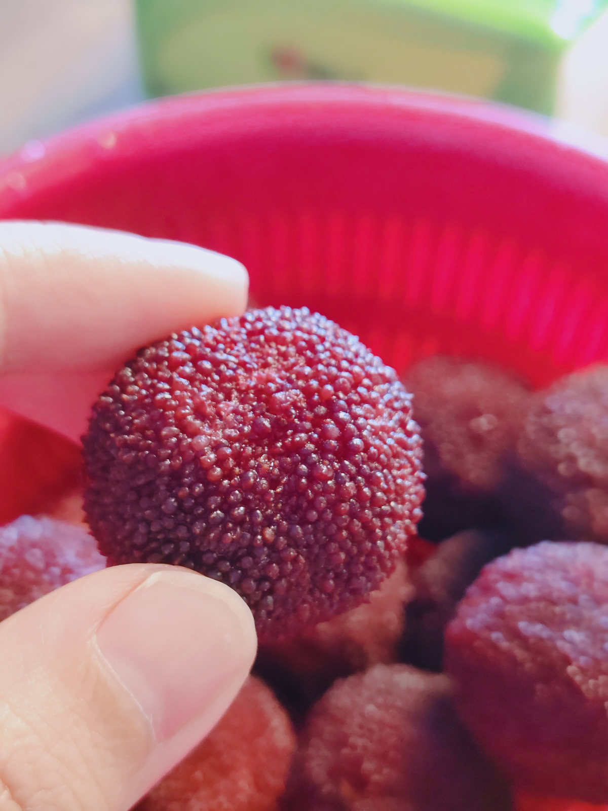 现在正好是吃杨梅的季节，以前自己采杨梅的时候，就挑树，尝到甜